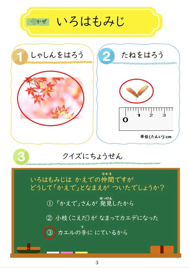 2024年1月号の冊子より(2枚目)