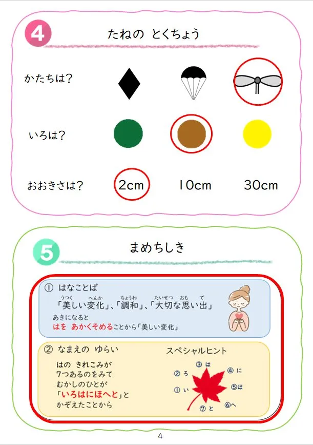 2024年1月号の冊子より(3枚目)