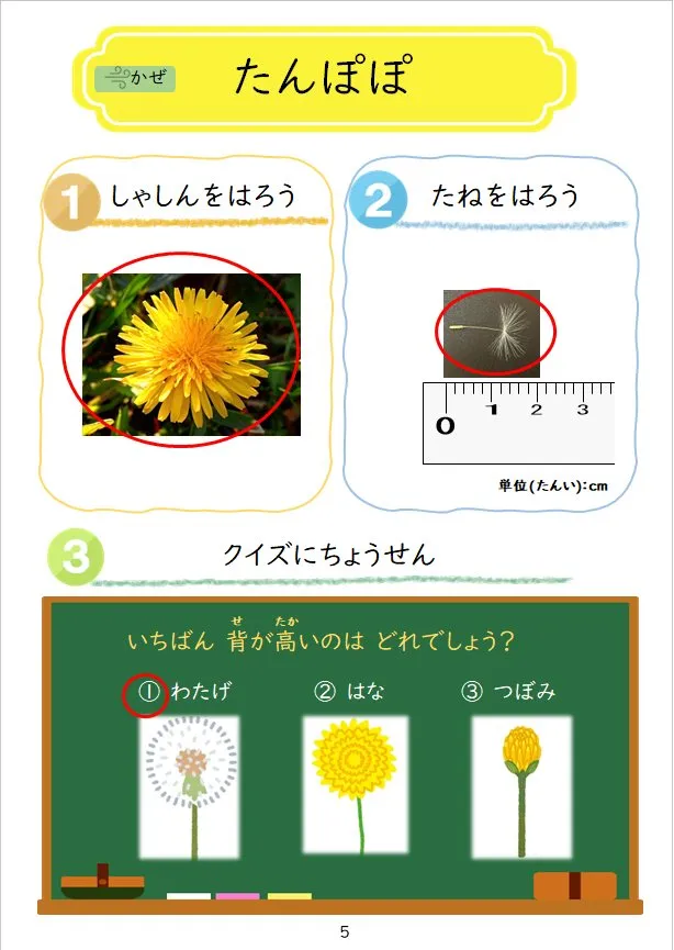 2024年1月号の冊子より(4枚目)
