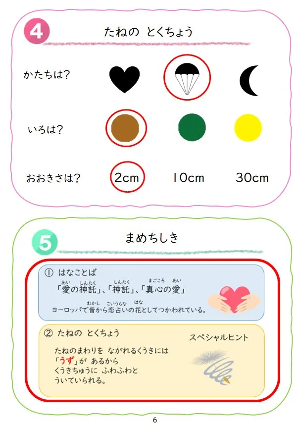 2024年1月号の冊子より(5枚目)