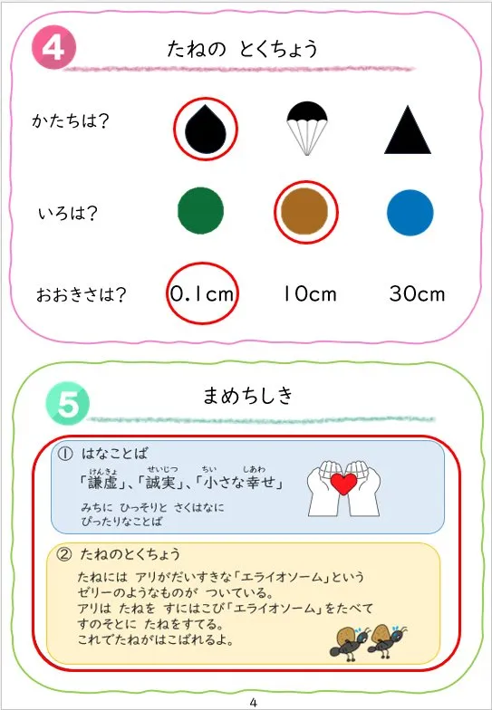 2024年2月号の冊子より(5枚目)