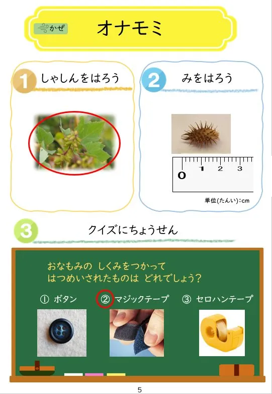 2024年2月号の冊子より(7枚目)