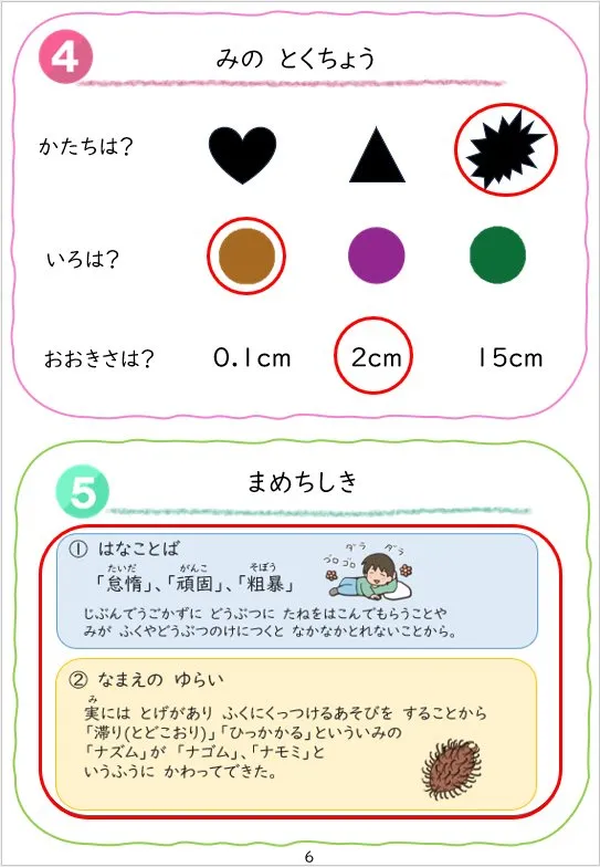 2024年2月号の冊子より(8枚目)