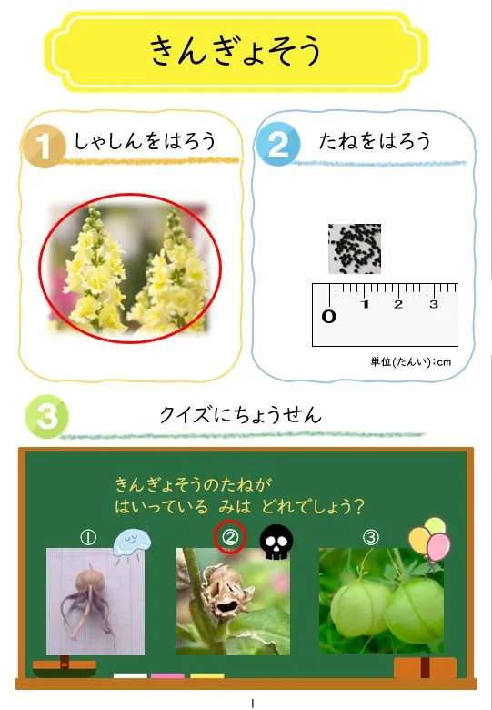 2024年3月号の冊子より(1枚目)