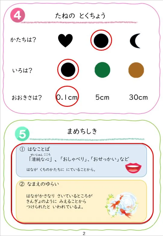2024年3月号の冊子より(2枚目)