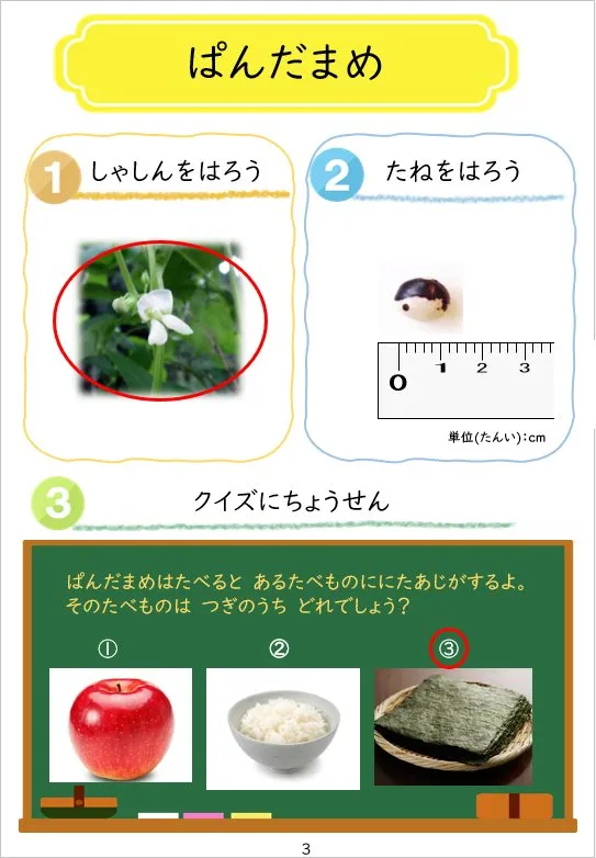 2024年3月号の冊子より(3枚目)