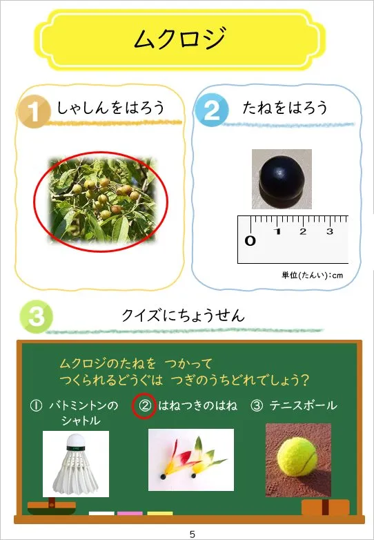 2024年3月号の冊子より(5枚目)