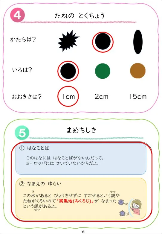 2024年3月号の冊子より(6枚目)