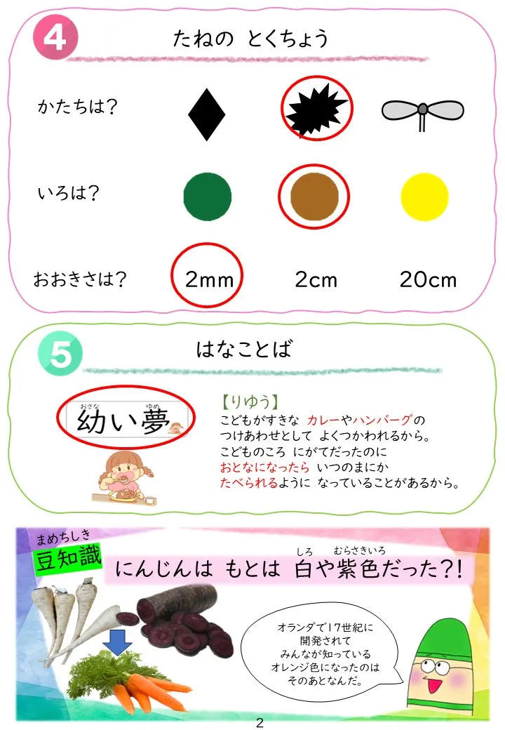 2025年1月号「たねずかん1 おもしろいたね」の冊子より(3枚目)