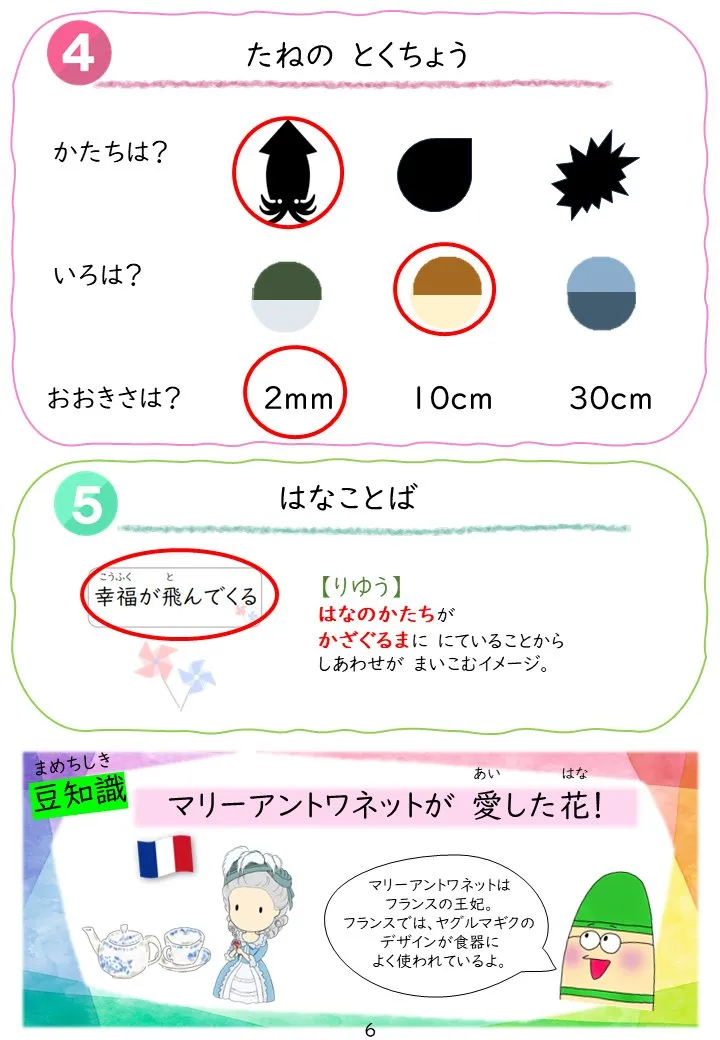 2025年1月号「たねずかん1 おもしろいたね」の冊子より(7枚目)