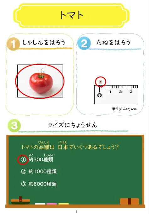 2025年2月号「たねずかん2 なす科のたね」の冊子より(2枚目)