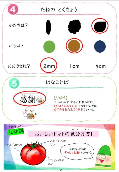 2025年2月号「たねずかん2 なす科のたね」の冊子より(3枚目)