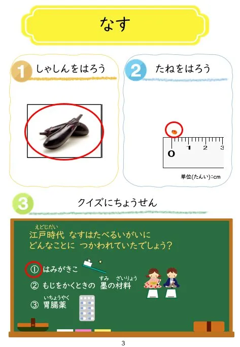 2025年2月号「たねずかん2 なす科のたね」の冊子より(5枚目)