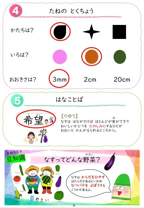 2025年2月号「たねずかん2 なす科のたね」の冊子より(6枚目)
