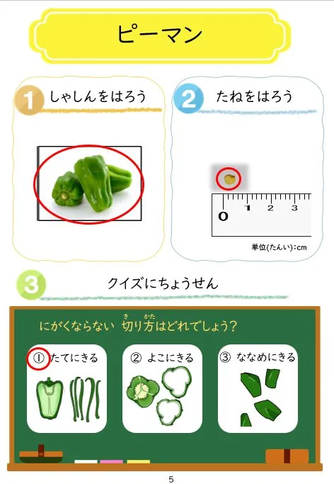 2025年2月号「たねずかん2 なす科のたね」の冊子より(7枚目)