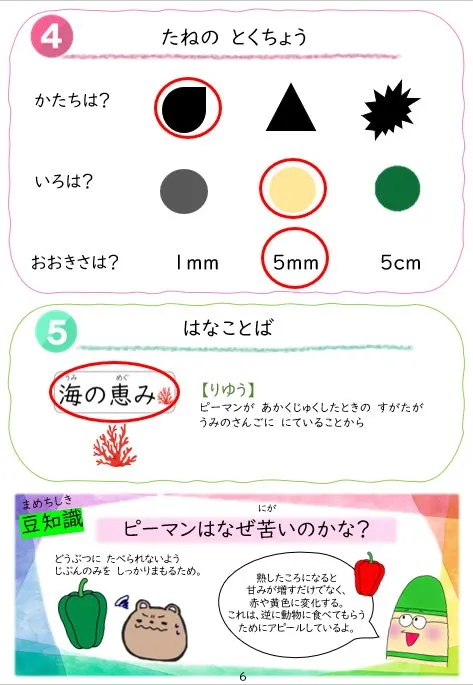 2025年2月号「たねずかん2 なす科のたね」の冊子より(8枚目)