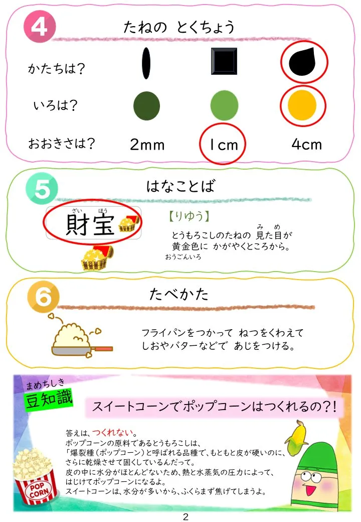 2025年3月号「たねずかん3 たべられるたね」の冊子より(3枚目)