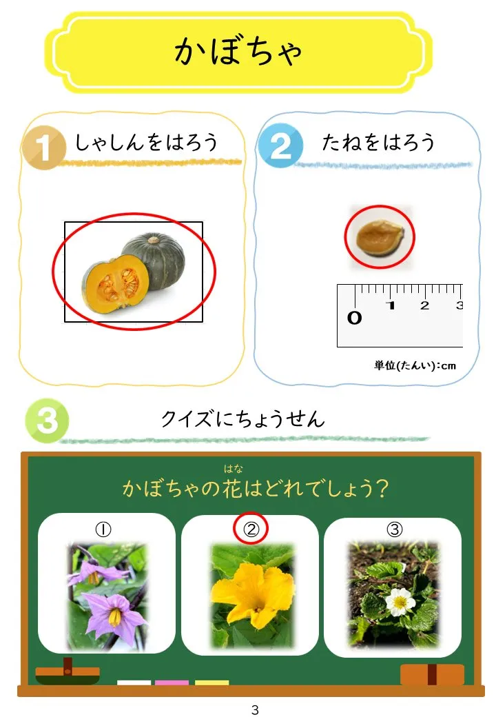 2025年3月号「たねずかん3 たべられるたね」の冊子より(4枚目)