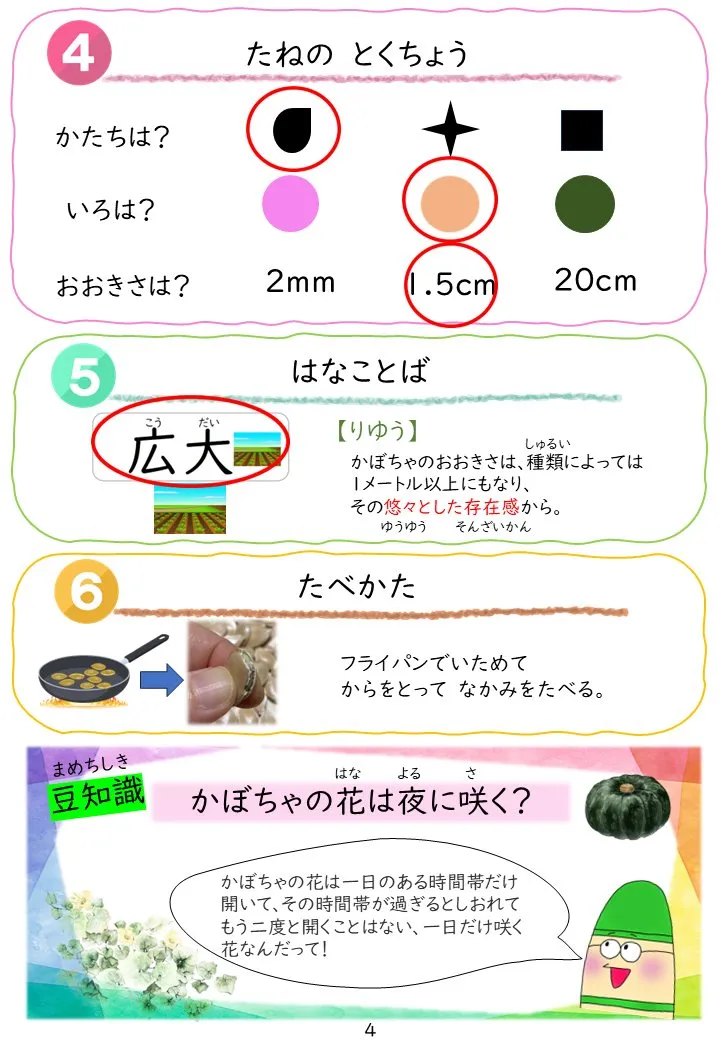 2025年3月号「たねずかん3 たべられるたね」の冊子より(5枚目)