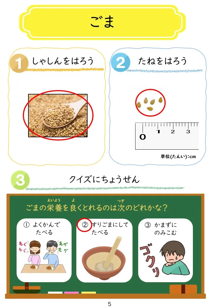 2025年3月号「たねずかん3 たべられるたね」の冊子より(6枚目)