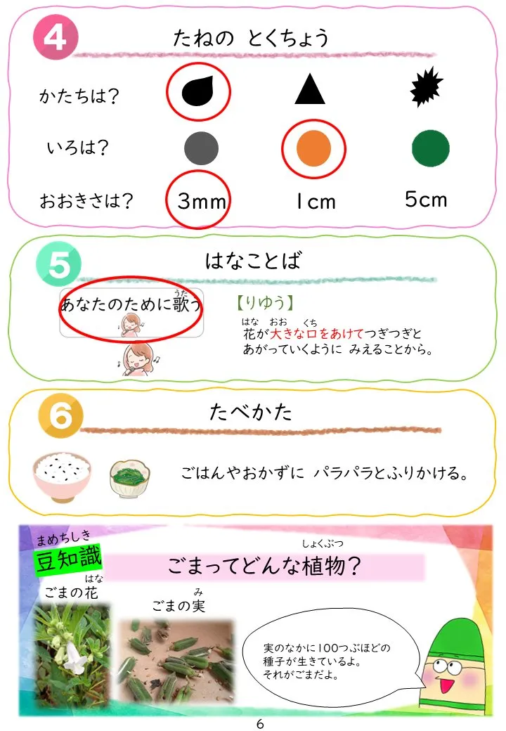 2025年3月号「たねずかん3 たべられるたね」の冊子より(7枚目)