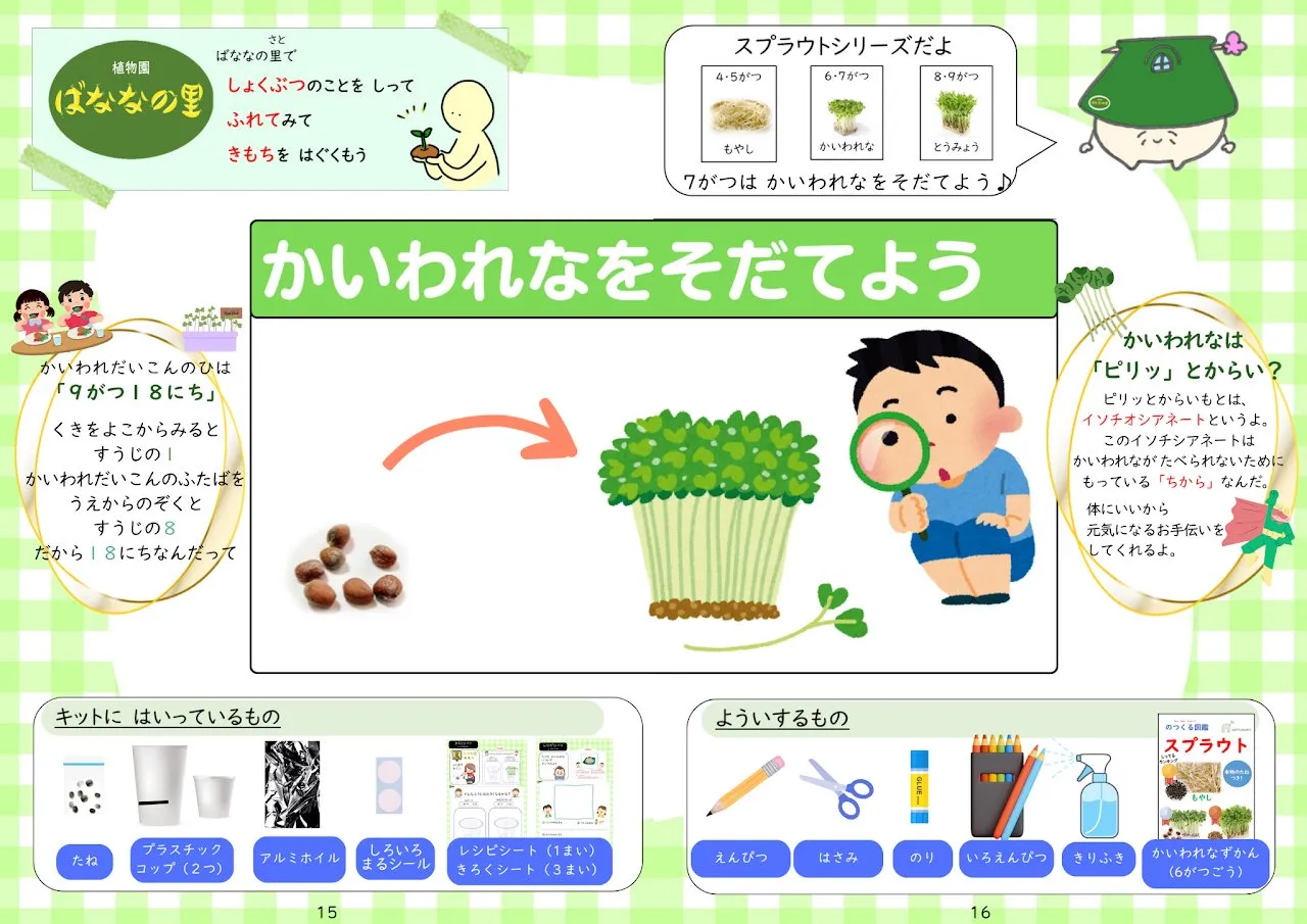 2025年7月号「かいわれなをそだてよう」の冊子より