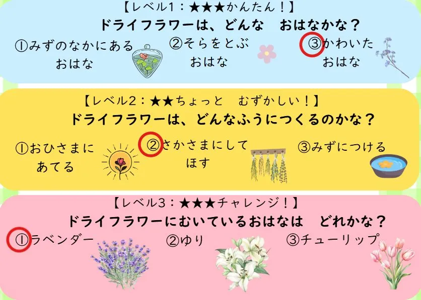 2025年10月号「ボトルフラワー」の冊子より(2枚目)