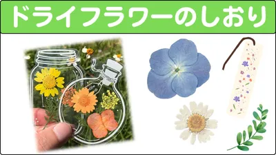 お届けセットの内容例